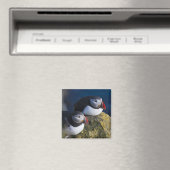 Aimant Puffin atlantique (Fratercula arctica) 7 (In Situ (Lave-vaisselle))