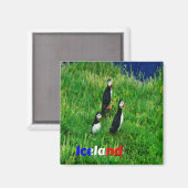 Aimant Puffins (Recto/Verso)