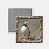 Aimant Puffins de Skomer Island (Recto/Verso)