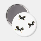 Aimant Puffins en vol Oiseaux côtiers Art (Recto/Verso)