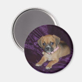 Aimant Puggle Love (Recto/Verso)