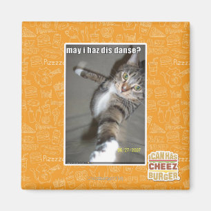 Aimant Puis-je avoir dis danse ?