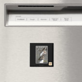 Aimant Puis-je avoir dis danse ? (In Situ (Lave-vaisselle))