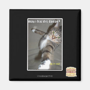 Aimant Puis-je avoir dis danse ?