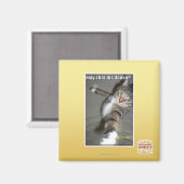 Aimant Puis-je avoir dis danse ? (Recto/Verso)