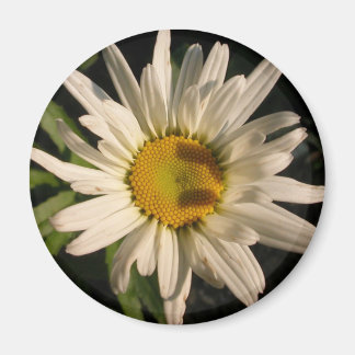 Aimant Puissance de flux