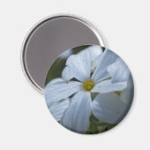 Aimant Puissance de flux (Recto/Verso)