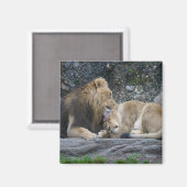 Aimant Puissant amour Lion (Recto/Verso)