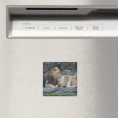 Aimant Puissant amour Lion (In Situ (Lave-vaisselle))