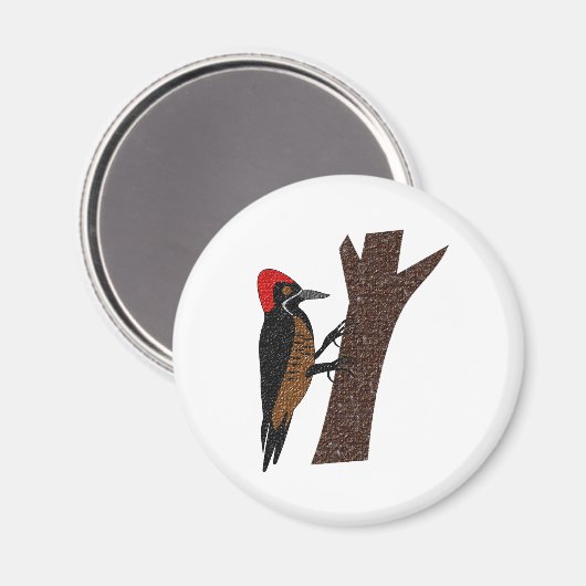 Aimant Puissant Pic (Recto/Verso)