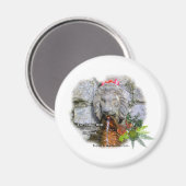 Aimant Puits magiques, Glastonbury Angleterre (Recto/Verso)