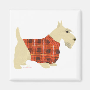 Aimant Pullover pour Scottish Terrier roux