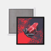 Aimant Pumilio de l'aimant du poison (Recto/Verso)