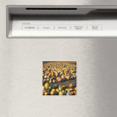 Aimant Pumkins (In Situ (Lave-vaisselle))