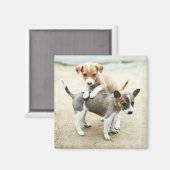 Aimant Puppies mignonnes jouer sur la plage (Recto/Verso)