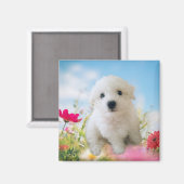 Aimant Puppy Angel (Recto/Verso)