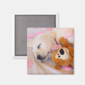 Aimant Puppy cuddles 02 (Recto/Verso)
