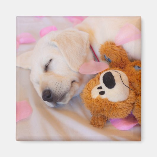 Aimant Puppy cuddles 02 (Devant)