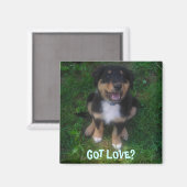 AIMANT PUPPY, TU AS DE L'AMOUR ? (Recto/Verso)