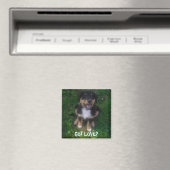 AIMANT PUPPY, TU AS DE L'AMOUR ? (In Situ (Lave-vaisselle))