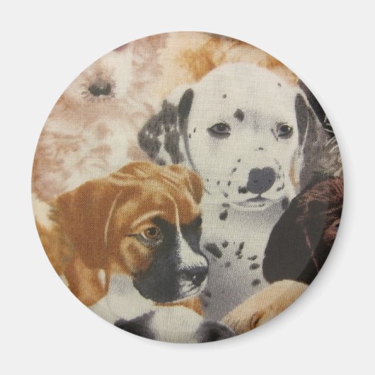 Aimant Pups dalmatiens et boxers (Devant)