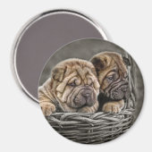 Aimant Pups Shar Pei dans l'aimant de panier (Recto/Verso)