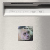 Aimant Pura vida pour singe capucin à tête blanche (In Situ (Lave-vaisselle))