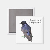 Aimant Purple (Recto/Verso)