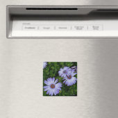 Aimant Purple/Blue-Daisy-Magnet (In Situ (Lave-vaisselle))