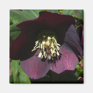Aimant Purple Carême Rose Pâques