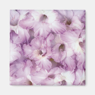Aimant Purple Glads Toutes Les Occasions