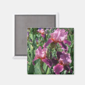 Aimant Purple Irises Printemps Floral (Recto/Verso)