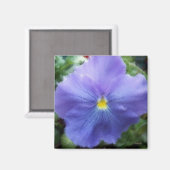 Aimant Purple Pansy (Recto/Verso)