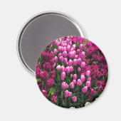 Aimant Purple Tulips (Recto/Verso)