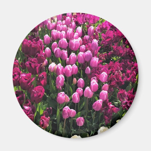 Aimant Purple Tulips (Devant)