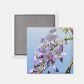 Aimant Purple Wisteria (Recto/Verso)