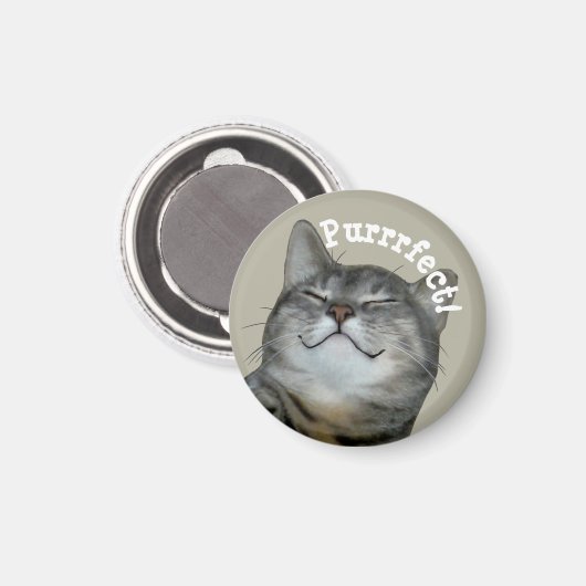 Aimant Purrfect Smiling chatte chatte cachée (Recto/Verso)