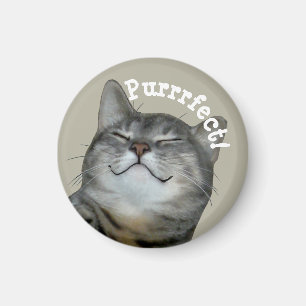 Aimant Purrfect Smiling chatte chatte cachée