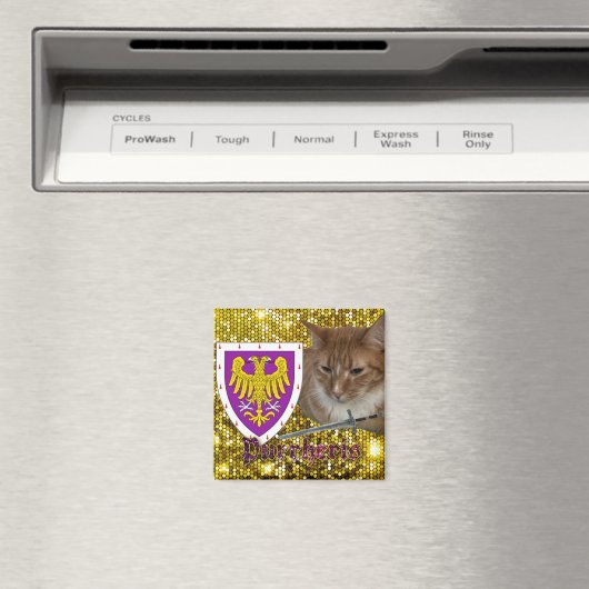 Aimant Purrheris (In Situ (Lave-vaisselle))