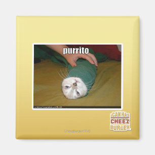 Aimant purrito