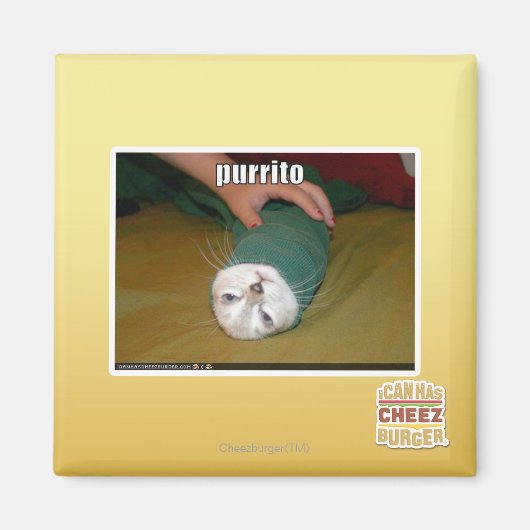 Aimant purrito (Devant)