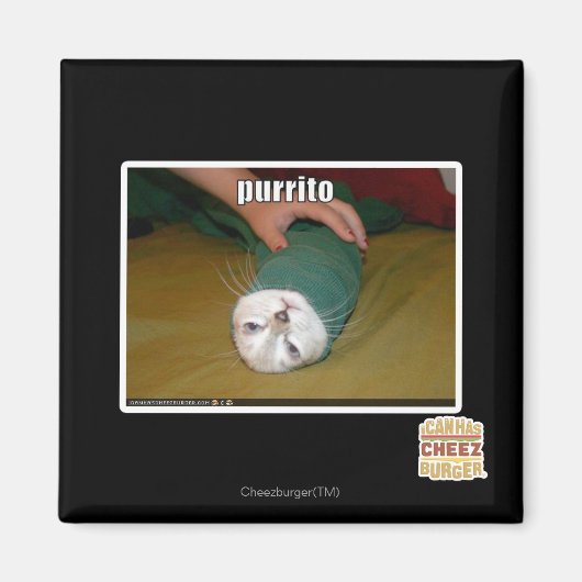 Aimant purrito (Devant)