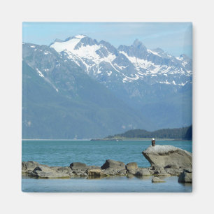 Aimant Pygargue à tête blanche à Skagway en Alaska