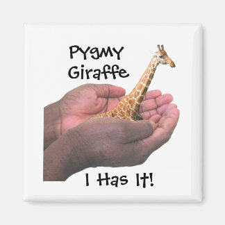 Aimant Pygmy Giraffe