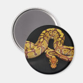 Aimant Python Brown et Gold Ball (Recto/Verso)