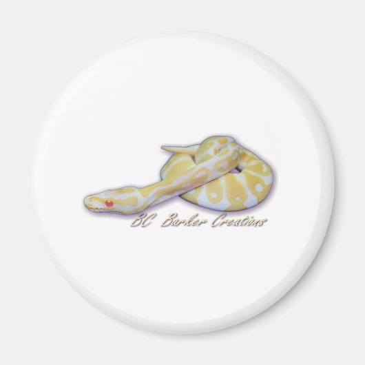 Aimant Python de boule à cliquet albinos (Devant)