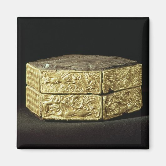 Aimant Pyxis hexagonaux décorés d'animaux (Devant)