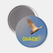 AIMANT QUACK ! ! (Recto/Verso)