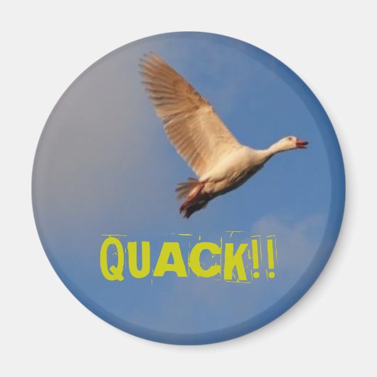 AIMANT QUACK ! ! (Devant)