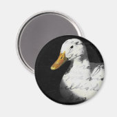 Aimant Quackers (Recto/Verso)